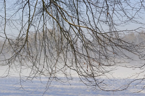 Winterlandschaft, aufsteigender Bodennebel im Licht der Morgensonne, Nordrhein-Westfalen,