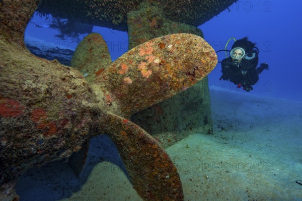 Unterwasserfoto von Taucherin blickt auf betrachtet Schiffsschraube von untergegangenes Schiff