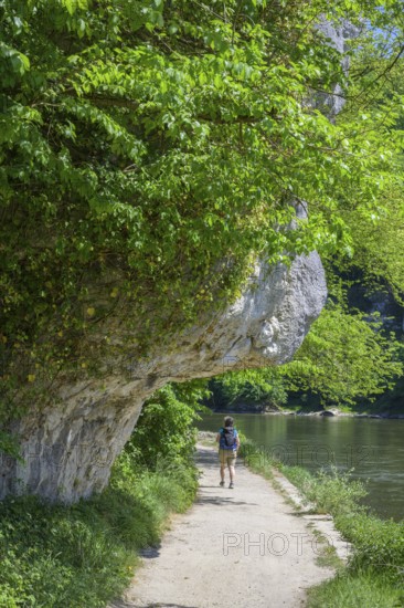 Weg beim hohlen Stein-Bienenkorb, Wanderung entlang der Donau vom Kloster Weltenburg nach Kelheim,