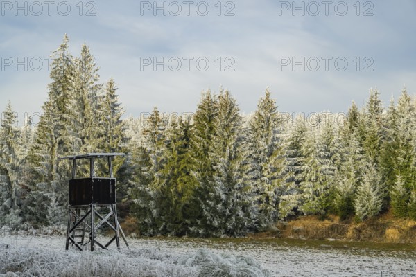 Hunting pulpit on a meadow in a valley surrounded by a mixed forest with norway spruce (Picea