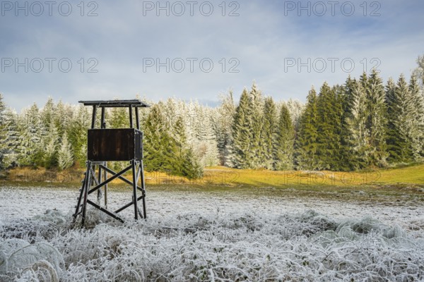 Hunting pulpit on a meadow in a valley surrounded by a mixed forest with norway spruce (Picea