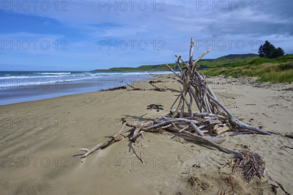 Treibholzform Zelt am naturbelassenen Strand mit Blick auf Meer und Himmel, Kaka Point, Clutha