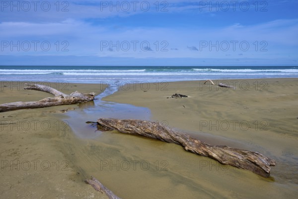 Sandiger Strand mit Treibholz und Blick auf das entspannte Meer und den blauen Himmel, Kaka Point,