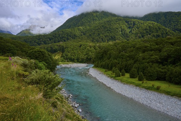 Ein klarer Fluss schlängelt sich durch eine grüne Waldlandschaft mit Bergen im Hintergrund unter
