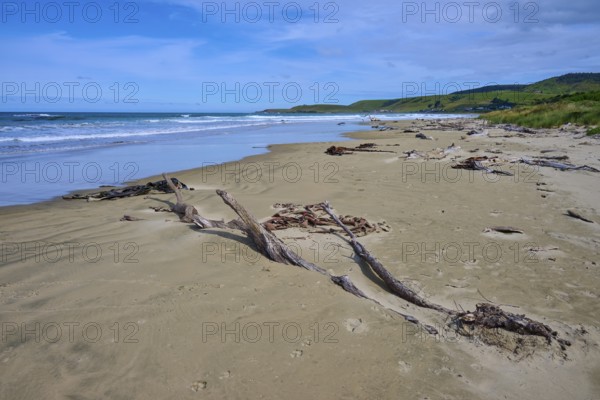 Ruhiger Strand mit Treibholz unter blauem Himmel und beruhigendem Meer, Kaka Point, Clutha