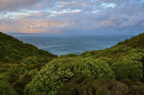 Blick auf das Meer zwischen grünen Hügeln unter einem bewölkten Abendhimmel, Nugget Point, Ahuriri