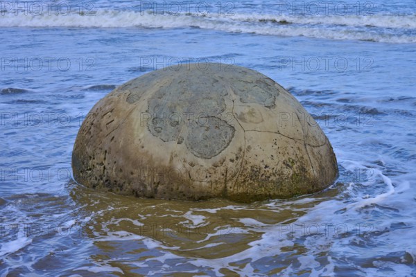 Ein großer runder Fels im seichten Wasser am Strand mit einem freien Blick auf das Meer, Moeraki