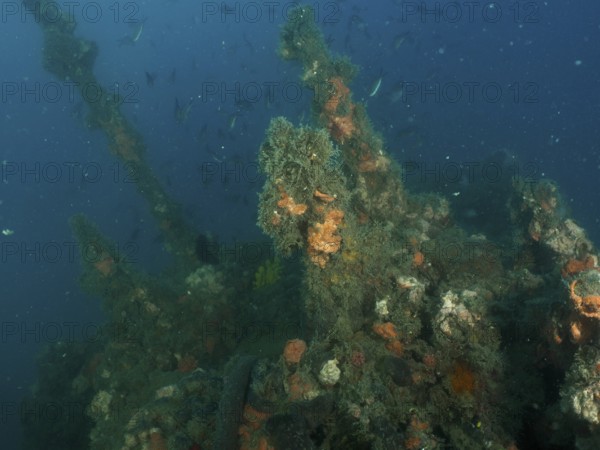 The superstructure of a shipwreck overgrown with algae and sponges in the deep ocean. Dive site