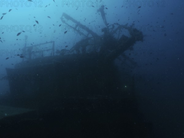 Dark shipwreck, surrounded by a school of fish, dark, mysterious atmosphere. Dive site Wreck of the