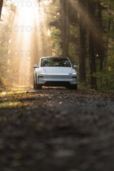 An SUV on a forest floor, illuminated by rays of light, surrounded by trees and natural