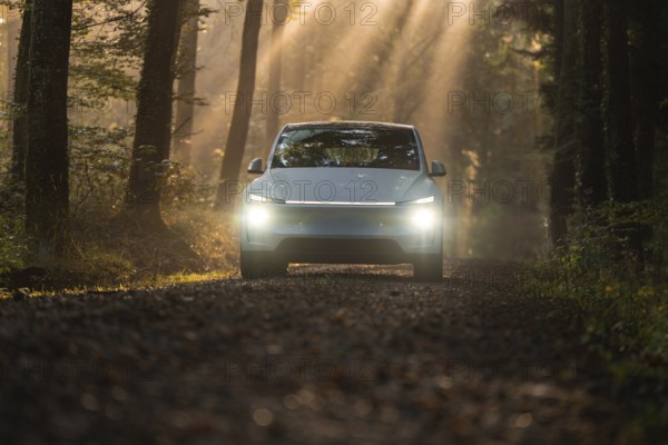 A car on a forest path, surrounded by trees and penetrated by the sun's rays at dawn, Tesla Model Y