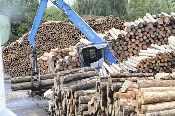 Wood storage and mechanical log transport on the premises of Energie-Mann in the Westerwald. Wood