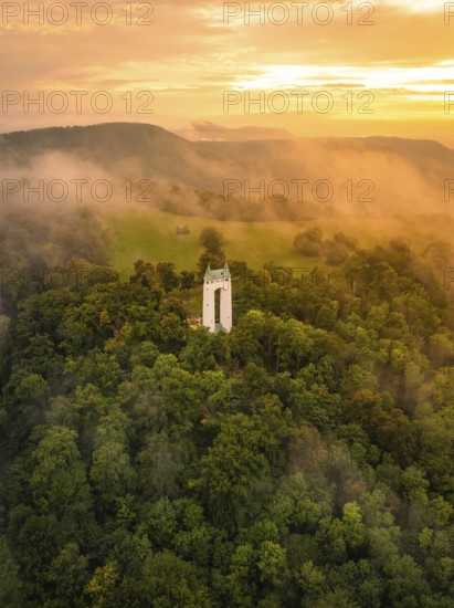 Tower in fog-shrouded forest at sunrise, soft morning light, Schönberg Tower, Pfullingen, Swabian