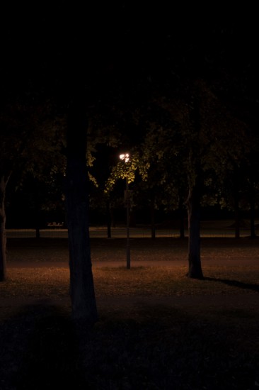 Night shot of a street lamp standing between trees in the Herrenhausen Gardens, Herrenhausen,