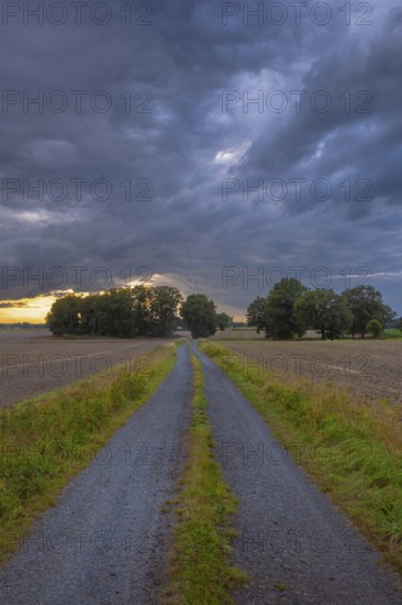 View along a country lane across fields to a dramatic sky in the evening light, Husum, Nienburg,