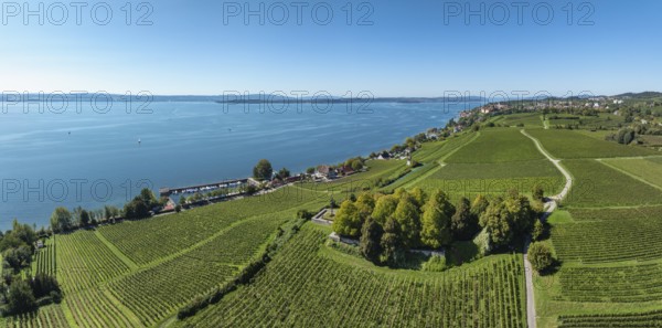 Aerial view, panorama of the Lerchenberg, vineyard, vineyard slope with the war graves and memorial
