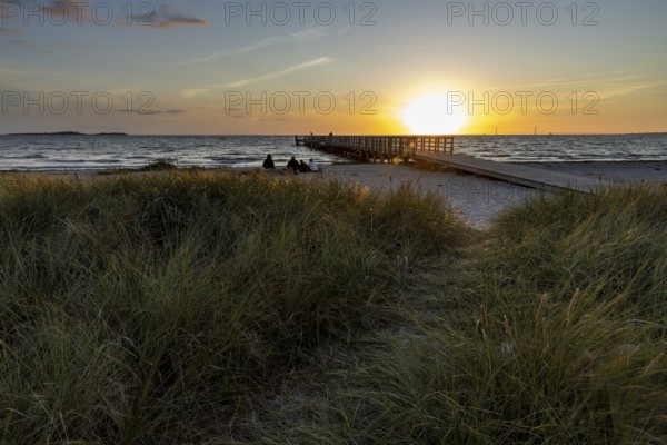Beach with tall grass, pier and sea at sunset, peaceful and idyllic atmosphere, Kobaek Strand,