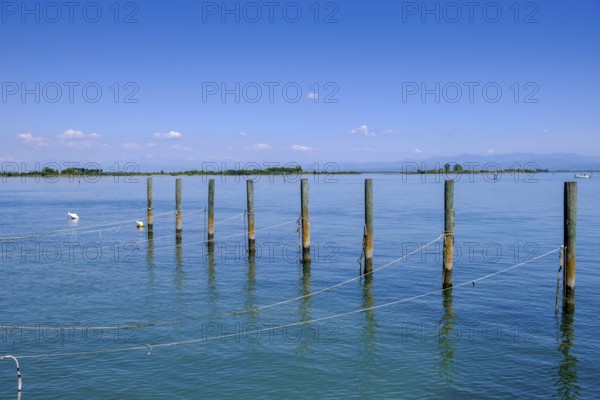 Grado Lagoon, Julian Friuli, Adriatic Sea, Italy