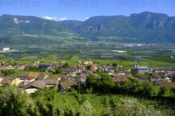 View over Tramin, South Tyrolean Wine Road, South Tyrol, Italy