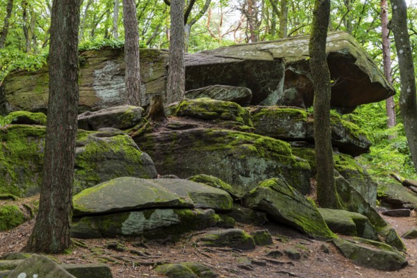 Boulders in the forest, red sandstone, sea of rocks, Kalmit, Maikammer, Pfläzerwald,