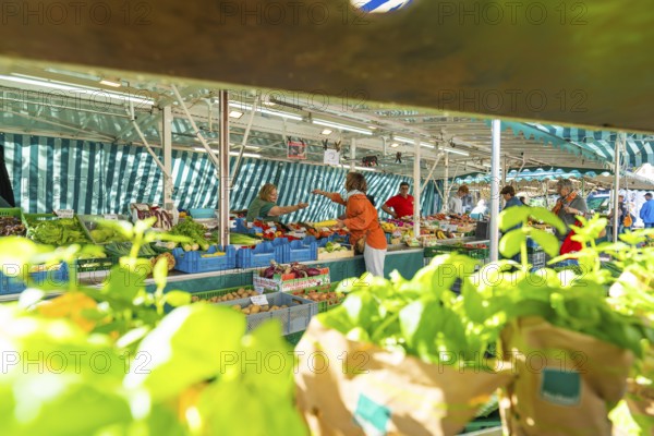 A customer and saleswoman in conversation at a colourful market stall, Sindelfingen, Böblingen
