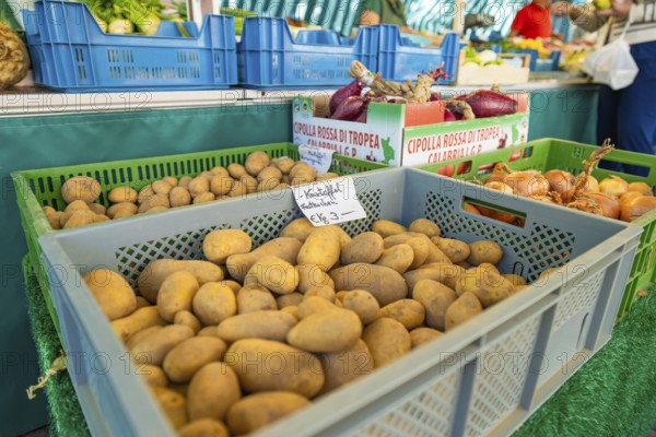 Market stall with crates full of potatoes and onions. Price label visible on one of the crates,