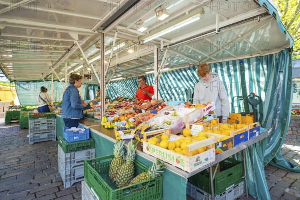 People buying fresh fruit at a colourful market stall under a striped market tent, Sindelfingen,