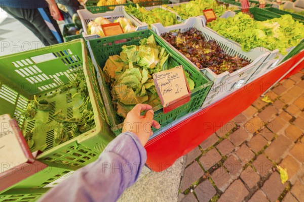 A hand takes lettuce from a market stall with fresh vegetables in green boxes on a paved path,