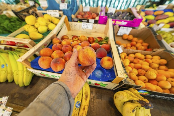 A hand holding a peach above a market stall with various fruits such as bananas and peaches,