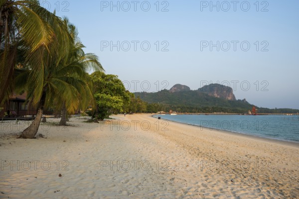 White sandy beach and coconut palms, sunset, Pearl Beach, Koh Mook, Trang Province, Southern