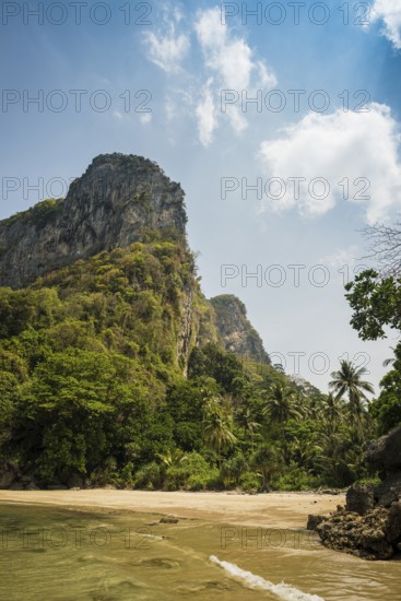 White sandy beach and coconut palms, Sabai Beach, Koh Mook, Trang Province, Southern Thailand,