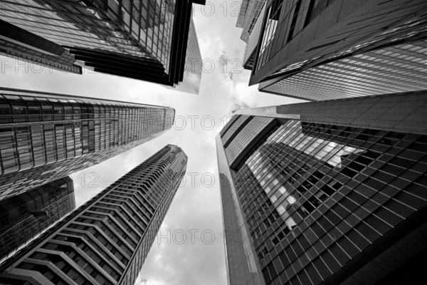 Frog's-eye view of the skyscrapers in the banking district, Four Frankfurt, Frankfurt am Main,