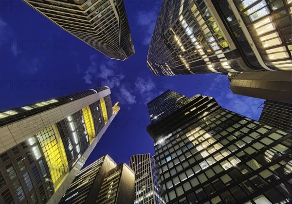 Frog's-eye view of skyscrapers in the banking district in the evening, Four Frankfurt, Frankfurt am