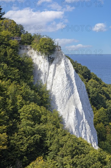 View from Victoria-Sicht to the Königstuhl, chalk cliffs, chalk, wooded, beech forest, forest, sea,