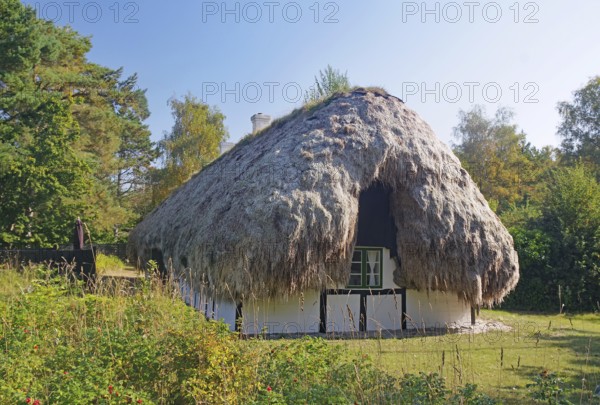 A small house with a seaweed roof surrounded by nature, trees and grass, Læsø, Jutland, Kattegat,