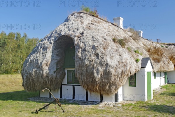 A small seaweed-roofed house with green shutters and an anchor against a natural backdrop, Læsø,