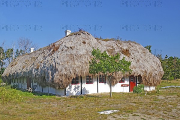 A traditional house covered with seaweed stands in a rural setting under a clear blue sky, Læsø,