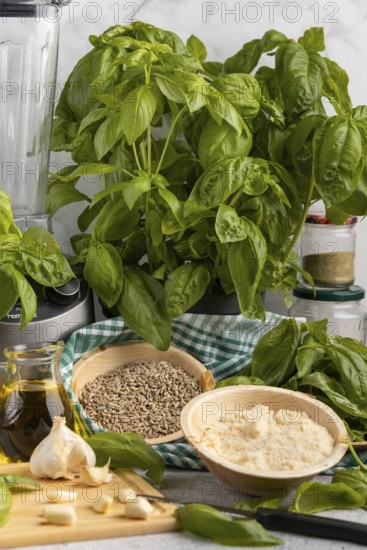 Basil next to a blender, with bowls full of pesto ingredients such as sunflower seeds, garlic and