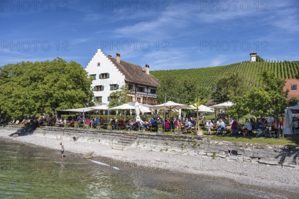 Ein Biergarten am Bodenseeufer mit dem historischen Fachwerkbau vom Rebgut Haltnau bei Meersburg,