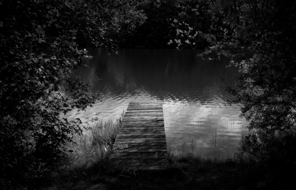 Bathing jetty, jetty, wooden jetty, jetty, leads into a lake, bathing lake, Schwaltenweiher near