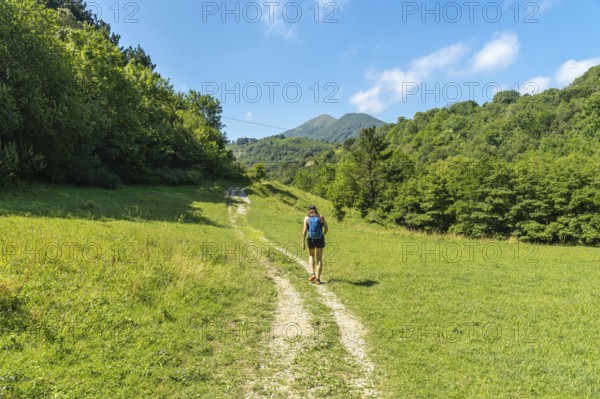 Female hiker walking on a path surrounded by lush green grass and trees, with mountains in the