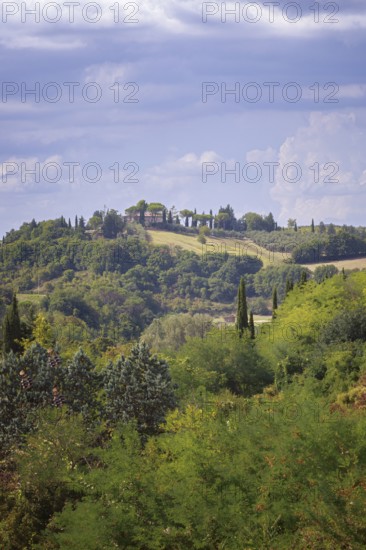 Rolling hills with cypresses under a cloudy summer landscape in Tuscany, San Gimignano, Italy