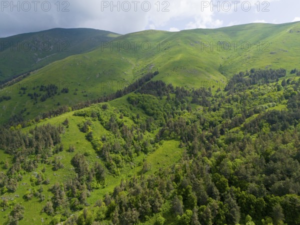 Densely forested mountain slopes with view of green valley under partly cloudy sky, aerial view,