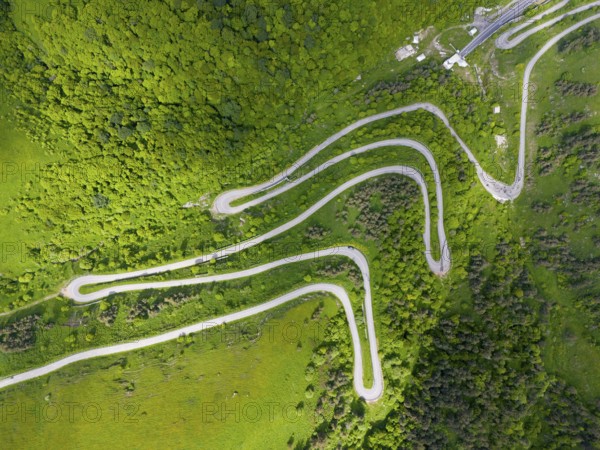 Aerial view of a serpentine road winding through a green, wooded landscape, aerial view, road H52