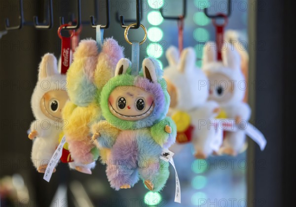 Labubu cuddly toy figure from China. There is a real hype surrounding the toy. Stuttgart,