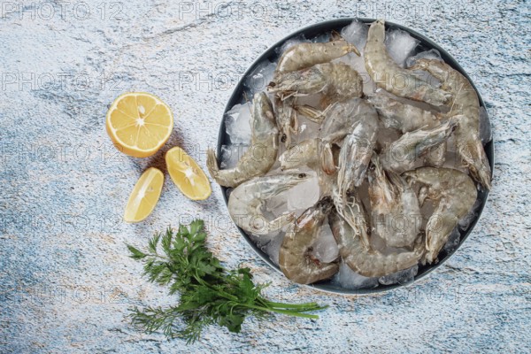 Fresh raw shrimp, spread on ice with lemon and cilantro slices on a marble surface, ready to cook,