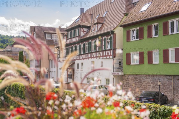 Street view with old houses and flowers offers a summery, historical impression, small town pearl