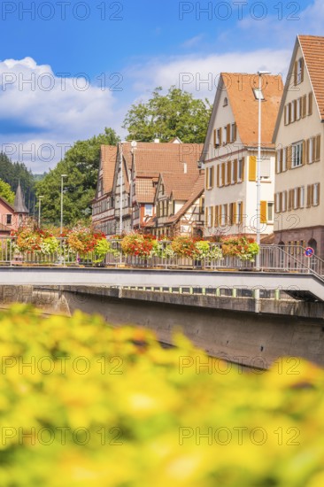 Summer city panorama with river, half-timbered houses and bridge under blue sky, small town pearl