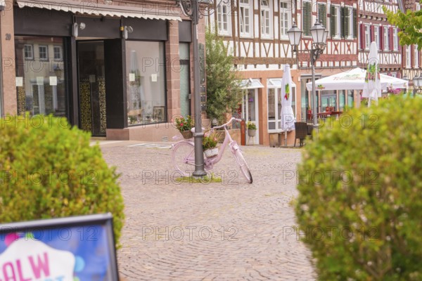 Rural town square with a pink bicycle, surrounded by half-timbered houses and summer shops, small
