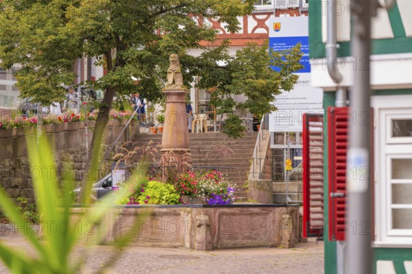 Fountain with flower arrangement in front of historical buildings and stairs in the background,